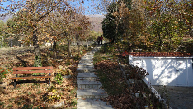 Φθινοπωρινή Κατασκήνωση γεμάτη χρώματα
